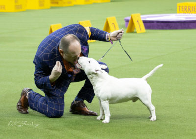 Olga Forlicz Dog Show Photography