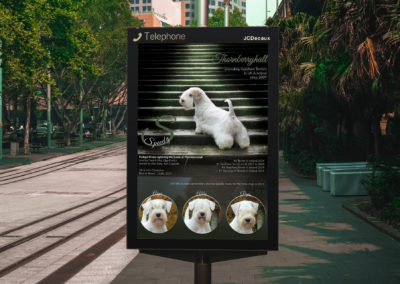 Olga Forlicz Ad Design
